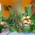Art Floral 11-04 003